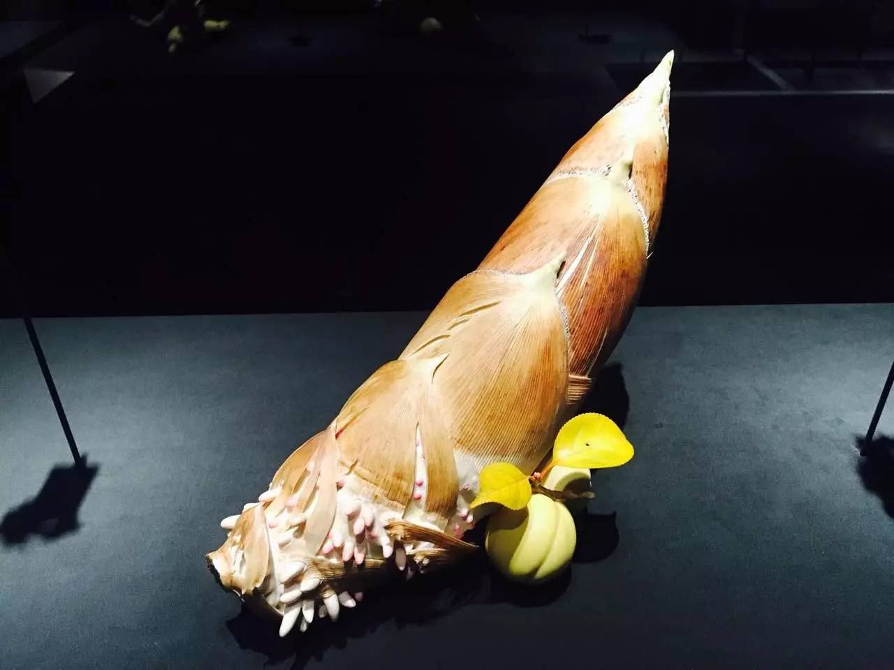 梵克雅宝顶级珠宝价格,梵克雅宝是顶级珠宝吗