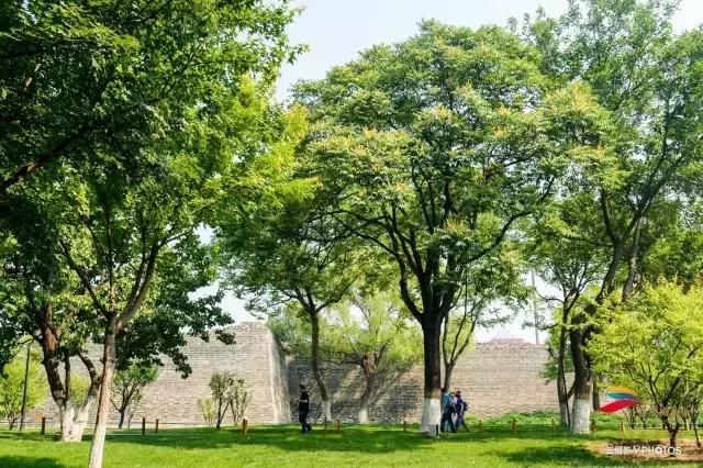 绝美的风景送给你,有一种风景叫朋友圈里的风景