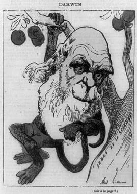 达尔文的进化论最出名的话,为何那么多人怀疑达尔文的进化论