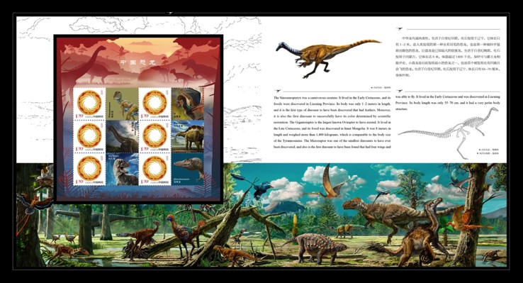你还知道哪些恐龙及它们的特点,为大家介绍一下恐龙的外形等特点