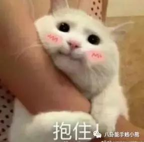 江疏影和娜扎怎么选择,江疏影娜扎海边度假