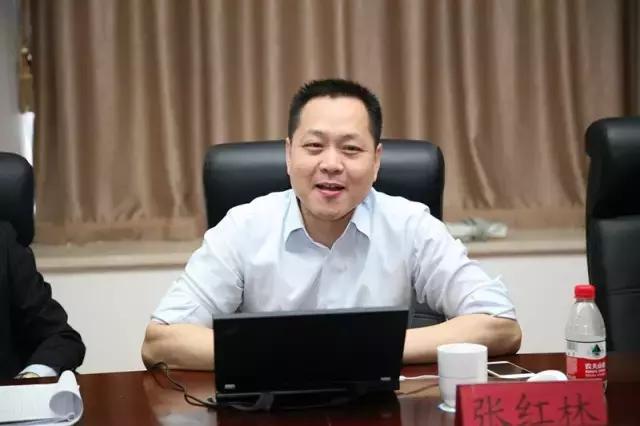 当“鲁雁”遇到“金凤”