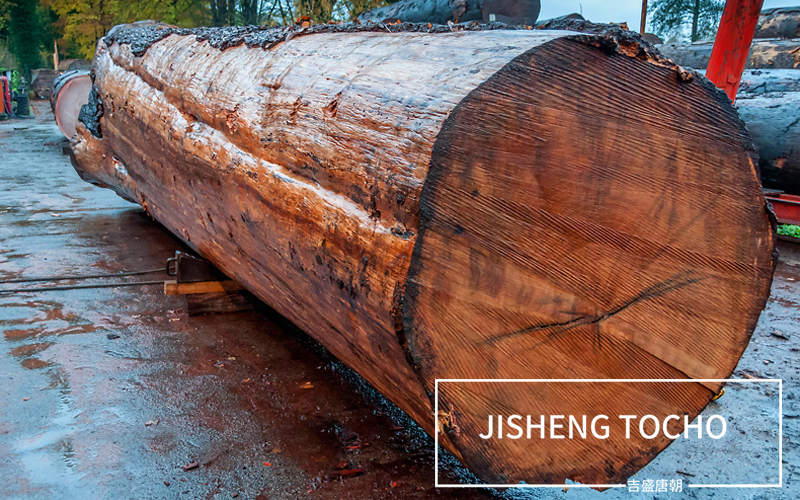 气质是怎么修炼出来的,一分钟教你练气质