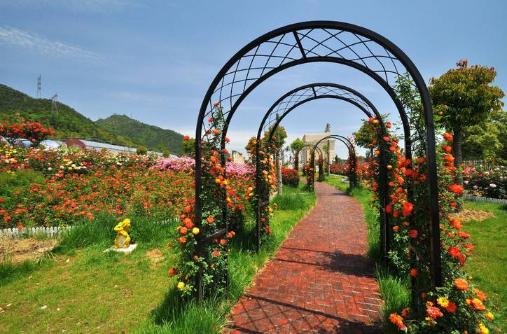 宁波十大休闲会所,宁波休闲农庄有哪些