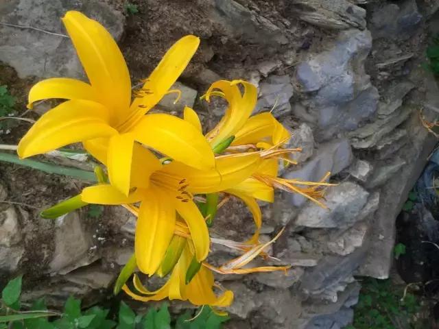 太行山最值得去的地方有哪些,太行山母亲