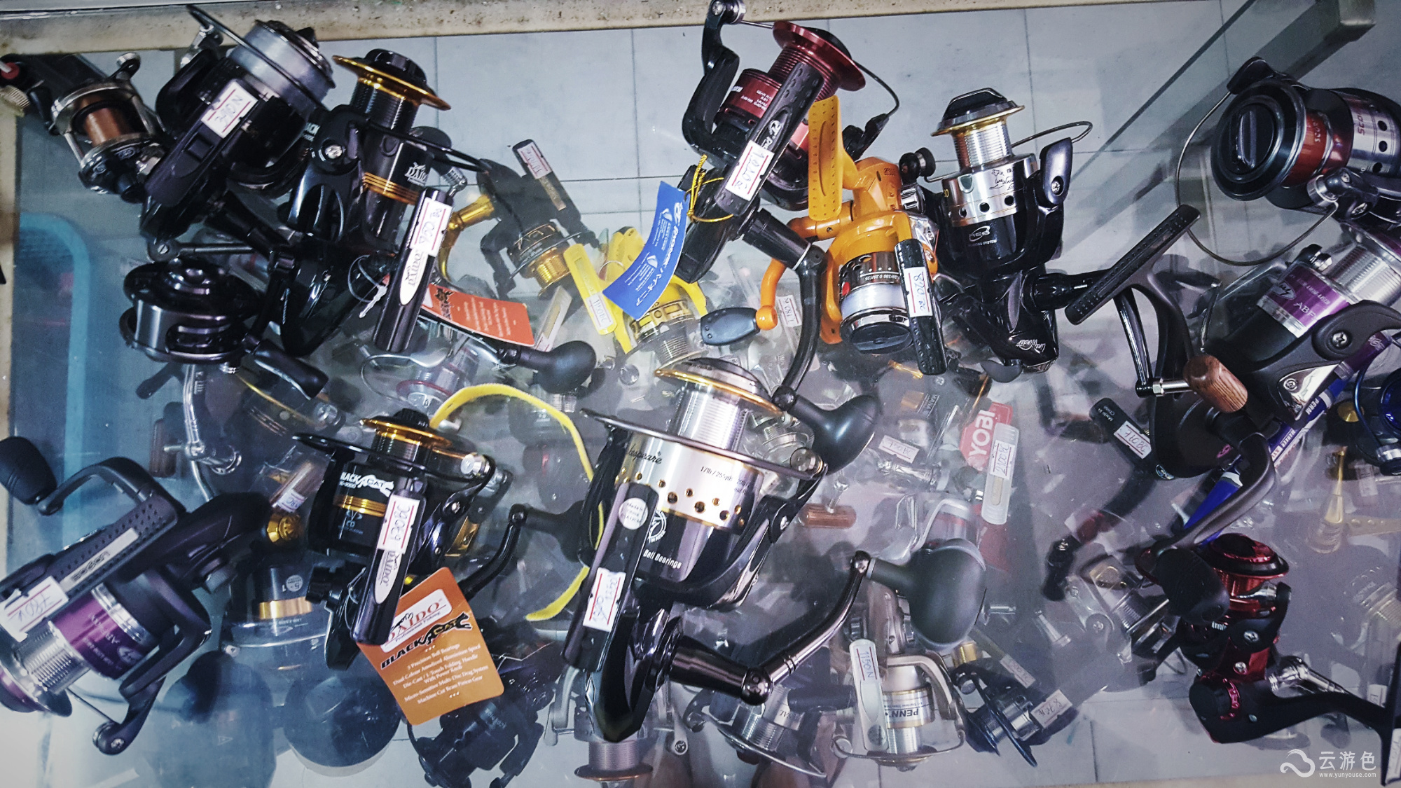 云游精选｜老炮儿带你见识泰国“老官园儿”