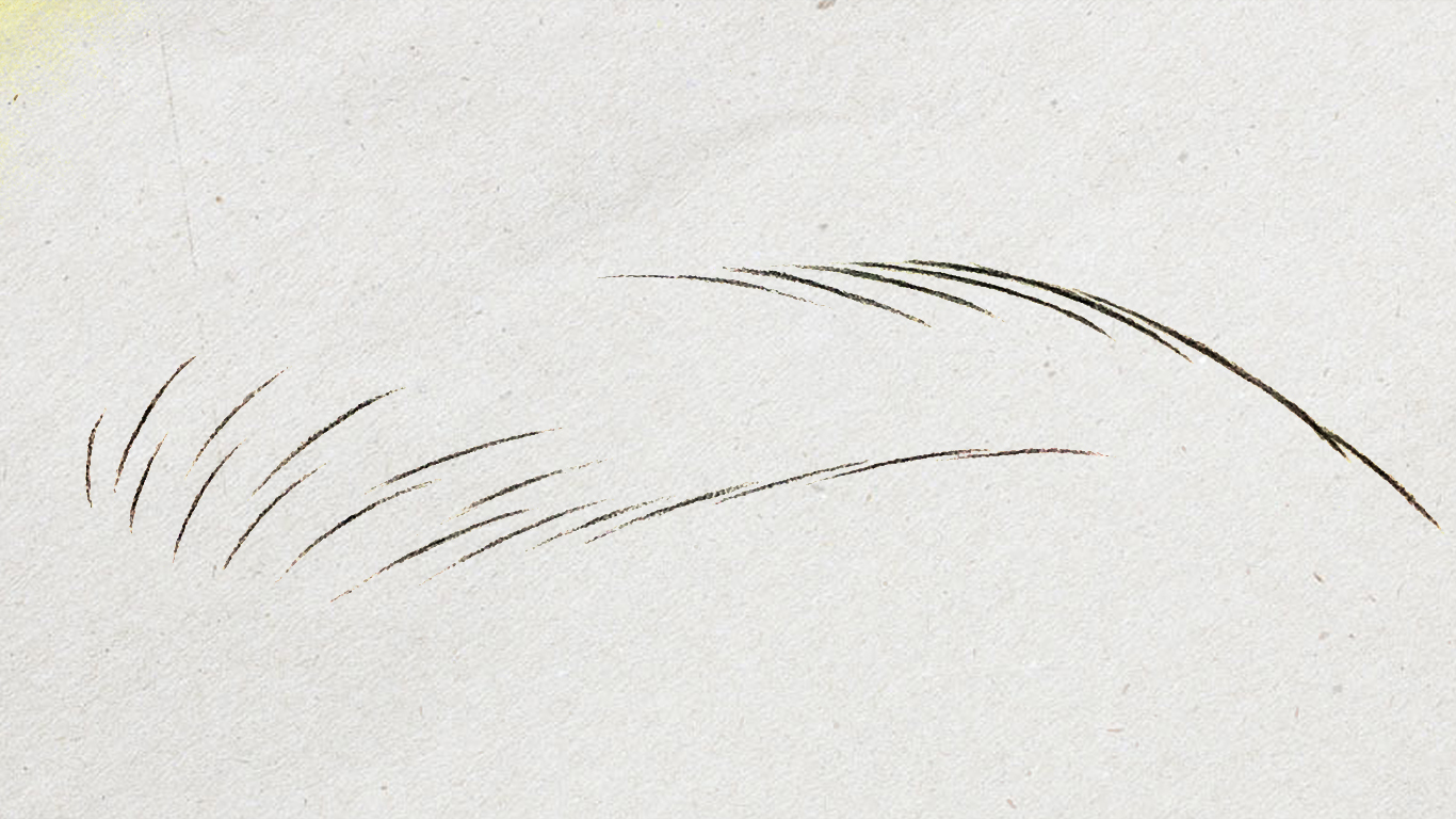 纹绣线条眉最难学吗,纹绣新手线条眉入门教程