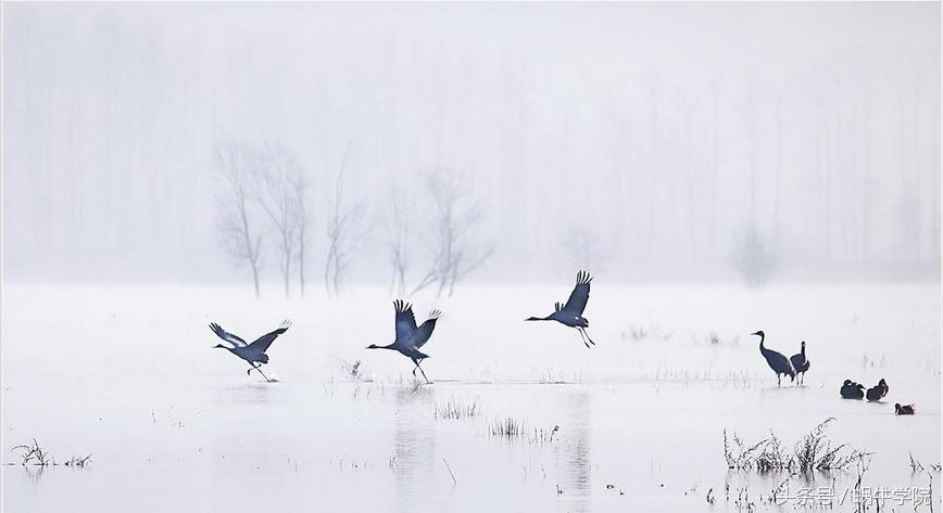从it培训机构进入行业可行吗,it培训真的比自学靠谱吗