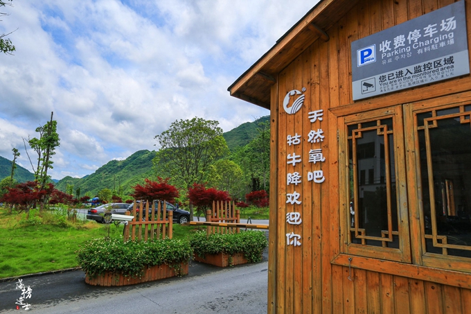 哪儿有原始森林拍照的景区,冬天适合拍照的原始森林