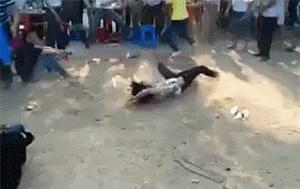 女生宿舍像家一样,女生宿舍和男生宿舍反差