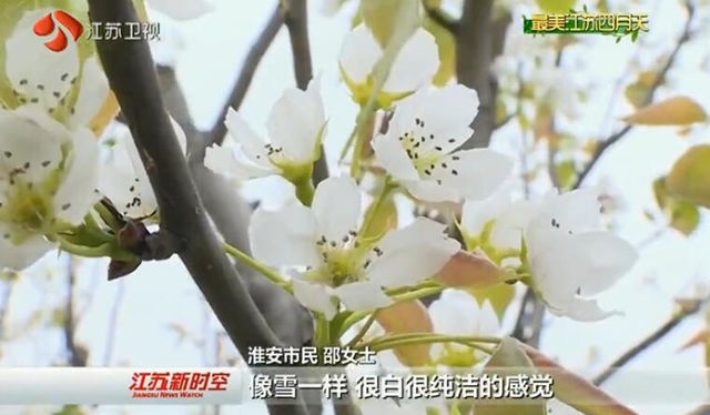 五月花开·筑梦想江苏广电：发展大会，我们准备好了！