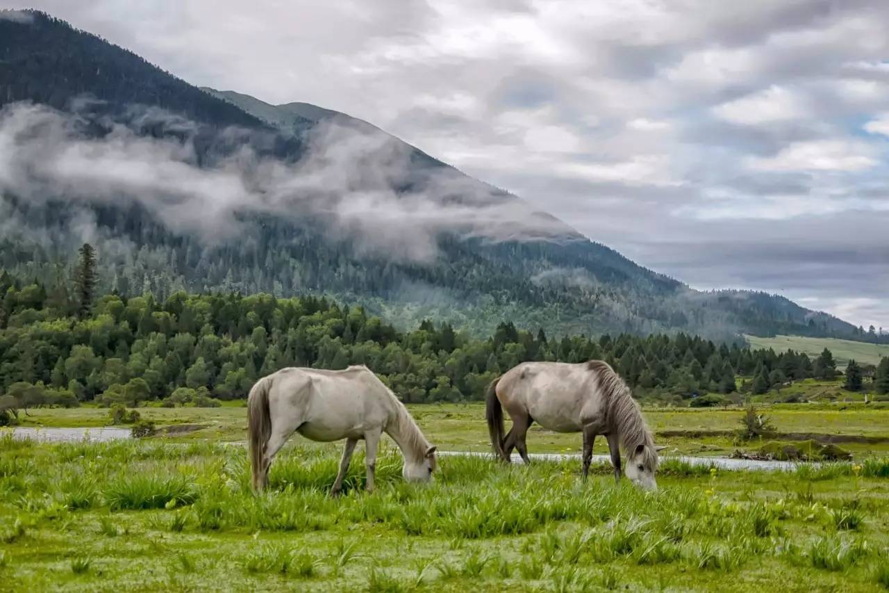 拉林高速与318国道区别,318最美拉林高速