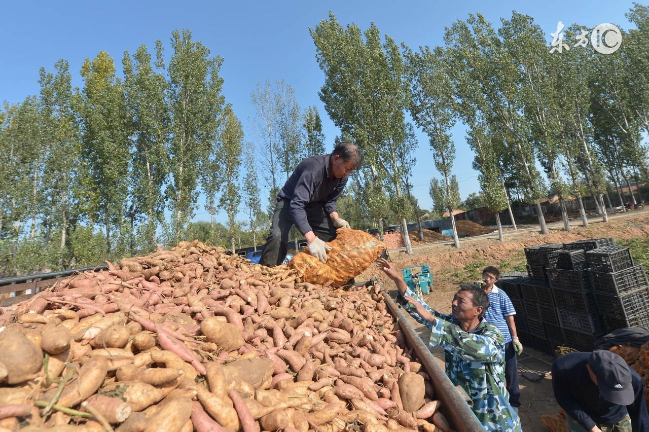 綦江创业项目推荐小本生意商机,2020年小本经营的热门生意