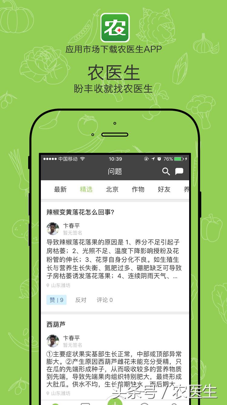 辣椒专用脱叶剂,辣椒用什么药让它高产