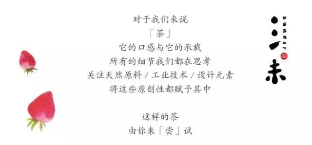 十种最好看的茶包,十种最漂亮的茶包