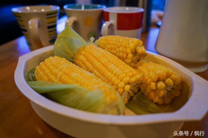 新西兰｜南岛自驾16天，那些衣食住行不完全攻略