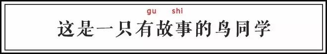 古代有什么奇特的鸟,中国古代怪鸟