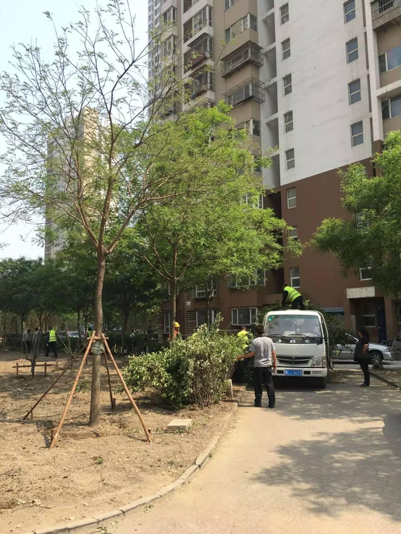 天津宝坻看房视频,天津看房记