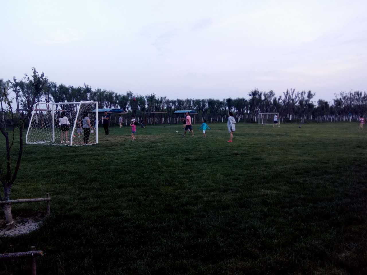 还踢球！问你去哪找场愁不愁！