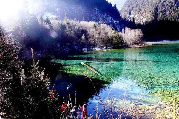 九寨沟的冬天是一幅精美的水墨画,冬天五彩池九寨沟