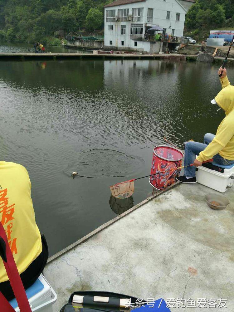娴呭鑺姵缇庢枃,娴呭鑺姵