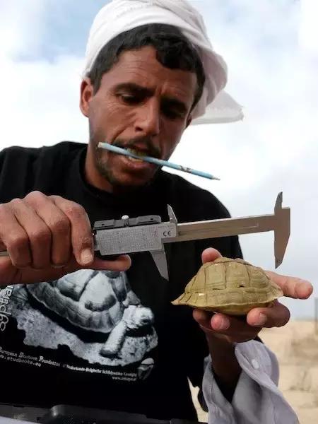 它被人冠以“小安格”的名号,却比真的安哥更金贵