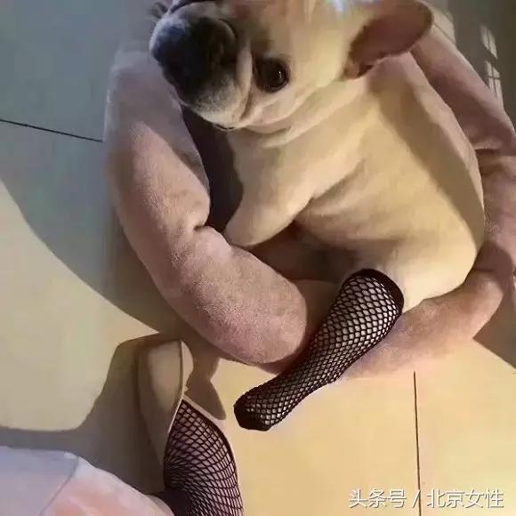 高质量牛仔裤推荐,风尚买衣服