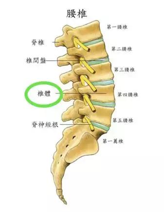 更年期骨质疏松要怎么办,更年期如何补钙防骨质疏松