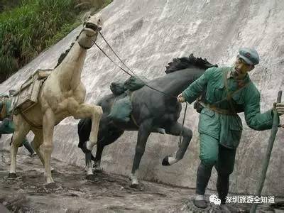 深圳求水山公园是怎样的,深圳求水山公园有什么好玩的景点