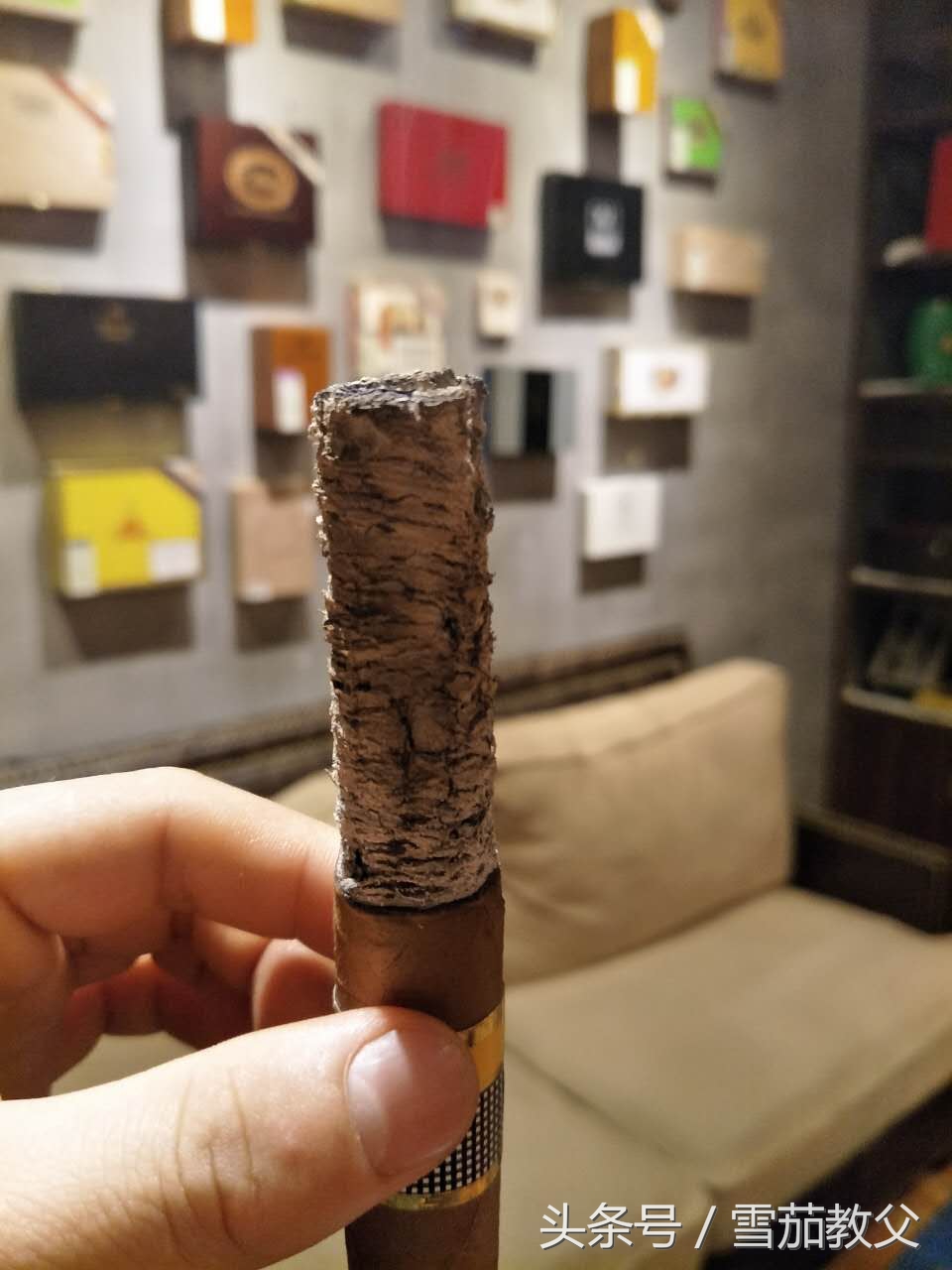 聊聊新手入坑雪茄圈如何选择雪茄,雪茄新手入门怎么选择