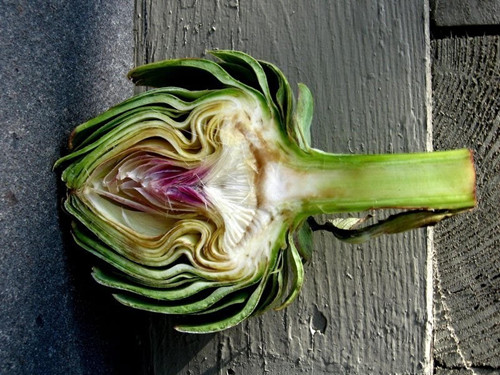 全球所有最罕见最奇葩的蔬菜,这种蔬菜比肉贵南方人经常吃