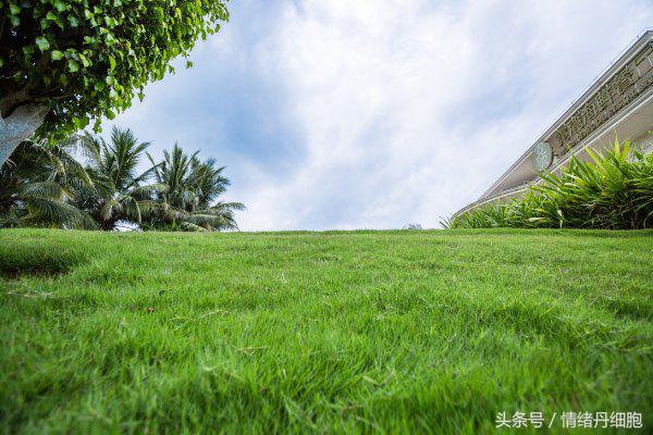 三亚美高梅度假酒店附近景点,三亚美高梅度假酒店日落