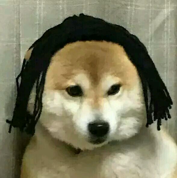 超小,巨小,无与伦比小的表情包,速来查收!