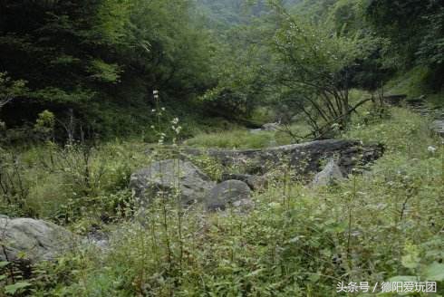 德阳端午周边游一日游,德阳周边游三天攻略