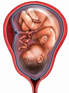 49天无痛引产的真实经历,39天引产过程步骤