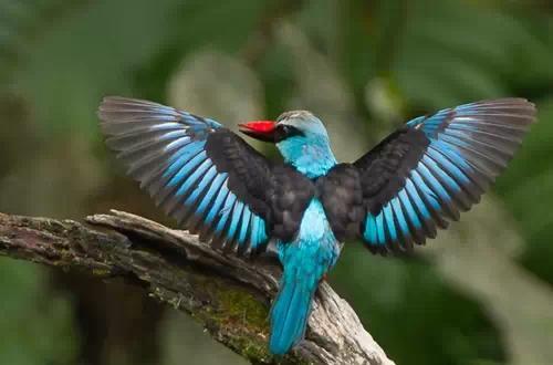 hermes最新款包包,hermes最好看的包