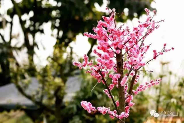 澶у江灞辩殑缇庢櫙,褰北鏄ュ鏃呮父