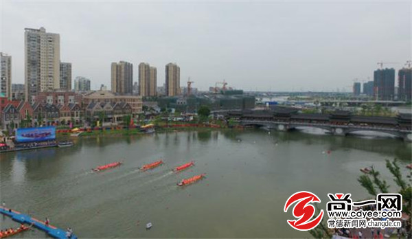 中塘河现场直播龙舟比赛,中德龙舟赛