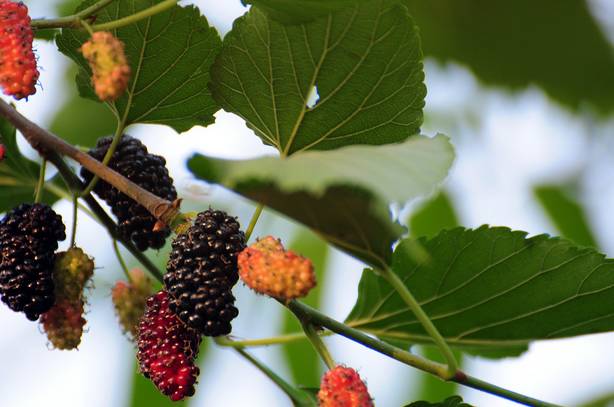 宁波5月19日半价旅游景点有哪些,宁波鄞州景区免门票