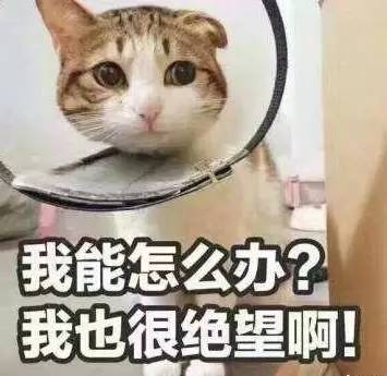 停动训练法害死人,停练是什么意思