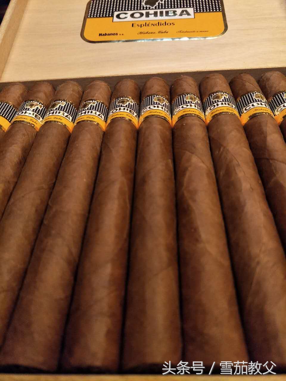 新手雪茄客避坑指南,雪茄入门级口粮选择