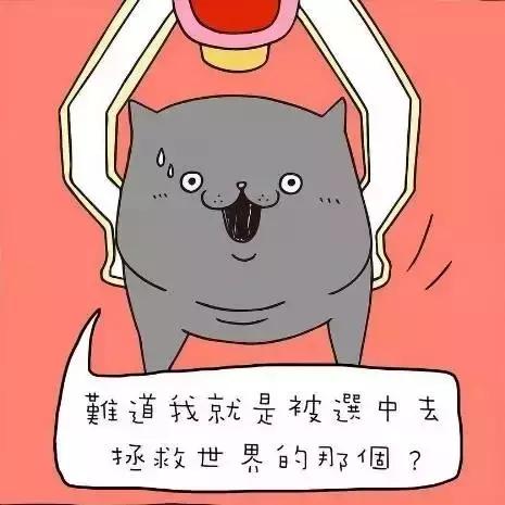 周柏豪361度 (周柏豪10周年)