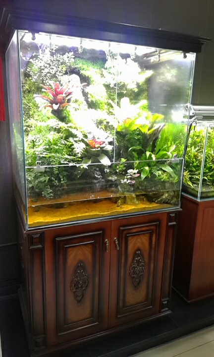 水族行业最新商业模式,水族店规划