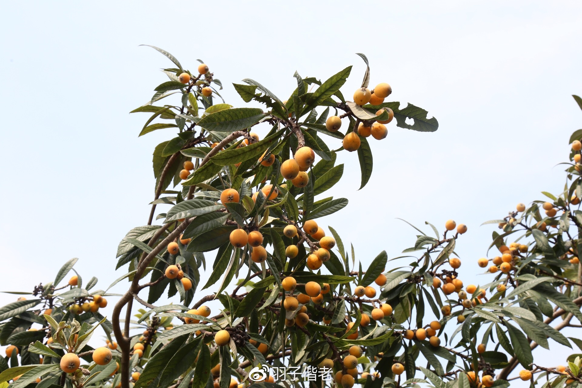 溧阳日日春农庄一日游,溧阳日日春农庄