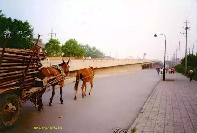 1997年的天津老视频,1997年天津