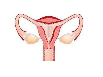 上环和取环的区别亲身经历,上环取环的相关知识