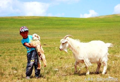 作文abc,写事作文片段填空