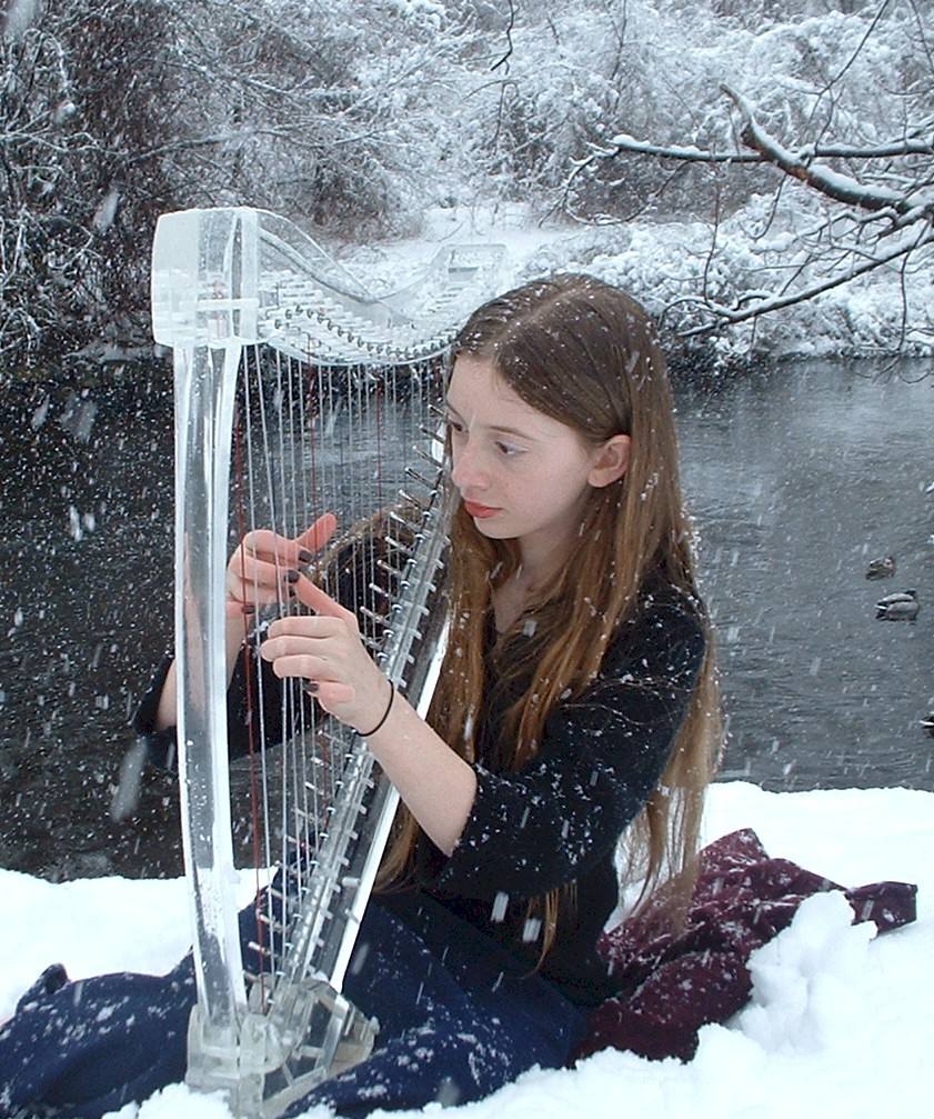 初学者学竖琴需要注意些什么,初学竖琴应该注意哪些