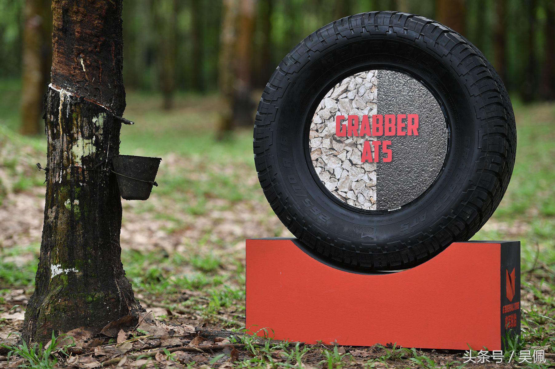 鲨鱼轮胎和普通轮胎区别,轮胎和鲨鱼皮哪个好