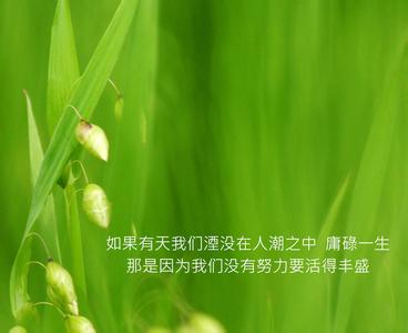 微商电子商务模式,怎样做电子商务生意